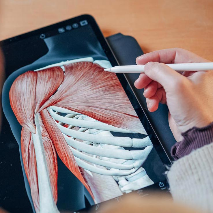 Anatomische Illustration auf einem iPad. Schulter.ch.